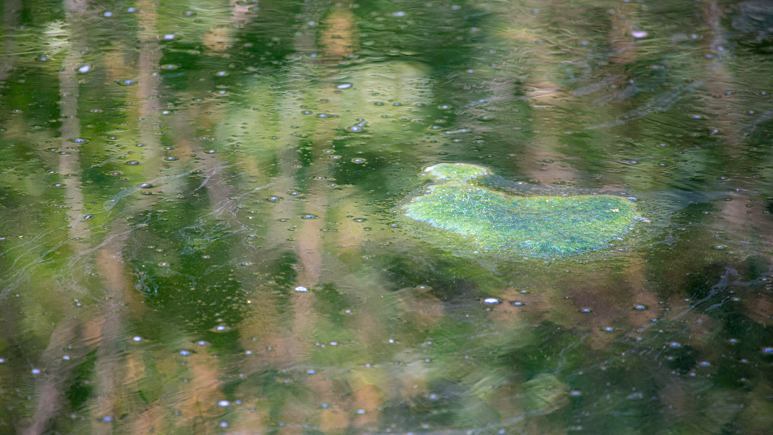 20140307105132 RD 54824